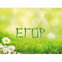  открытки для Егора 