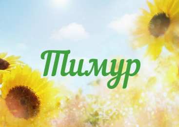  Открытки для Тимура 