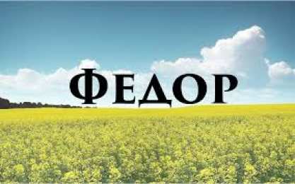  Открытки для Федора 