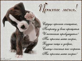  Милые открытки с извинениями 