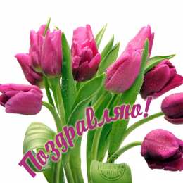 Красивые открытки с тюльпанами на день рождения              