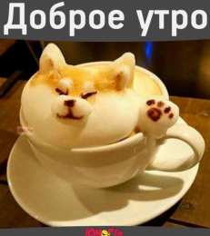 Пожелания хорошего счастливого утра в открытках