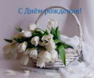 Красивые открытки с тюльпанами на день рождения              