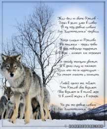 Яркие и красочные именные открытки для Ярослава                 